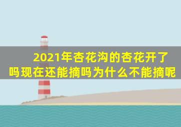 2021年杏花沟的杏花开了吗现在还能摘吗为什么不能摘呢