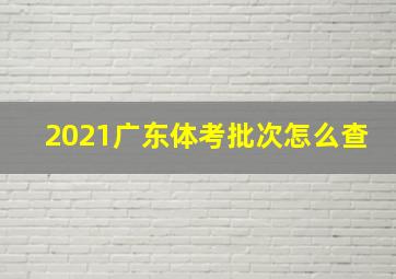 2021广东体考批次怎么查