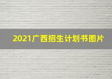 2021广西招生计划书图片