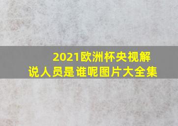 2021欧洲杯央视解说人员是谁呢图片大全集