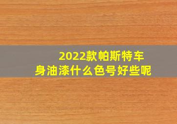 2022款帕斯特车身油漆什么色号好些呢