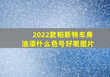 2022款帕斯特车身油漆什么色号好呢图片