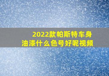 2022款帕斯特车身油漆什么色号好呢视频