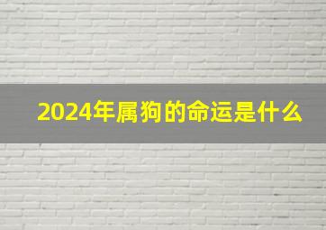 2024年属狗的命运是什么