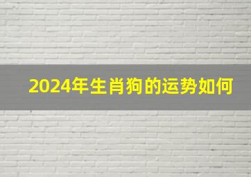 2024年生肖狗的运势如何