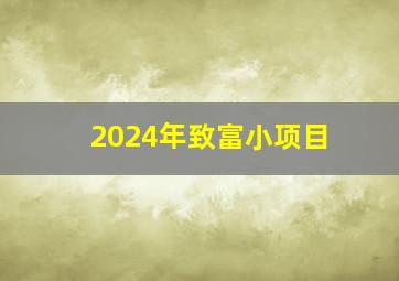 2024年致富小项目