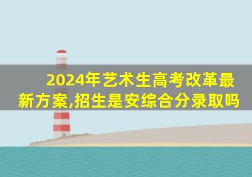 2024年艺术生高考改革最新方案,招生是安综合分录取吗