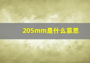 205mm是什么意思