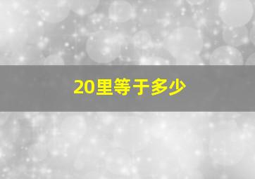 20里等于多少