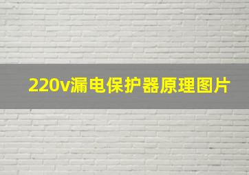 220v漏电保护器原理图片