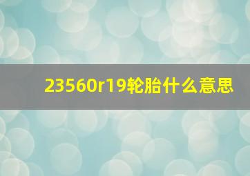 23560r19轮胎什么意思