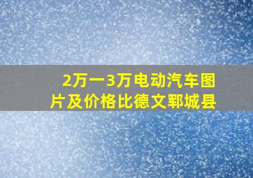 2万一3万电动汽车图片及价格比德文郓城县