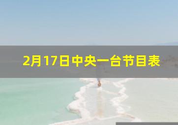 2月17日中央一台节目表