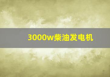 3000w柴油发电机