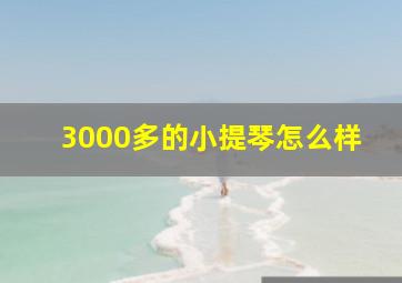 3000多的小提琴怎么样