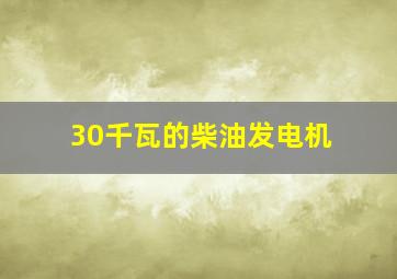 30千瓦的柴油发电机