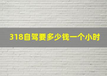 318自驾要多少钱一个小时