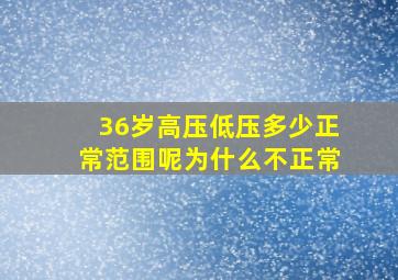 36岁高压低压多少正常范围呢为什么不正常