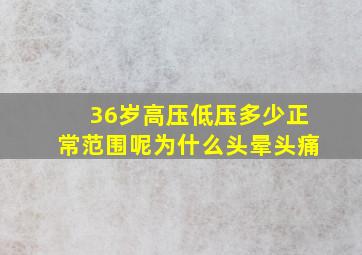 36岁高压低压多少正常范围呢为什么头晕头痛