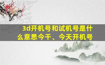 3d开机号和试机号是什么意思今干、今天开机号