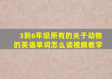 3到6年级所有的关于动物的英语单词怎么读视频教学