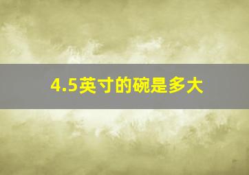 4.5英寸的碗是多大