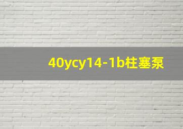 40ycy14-1b柱塞泵