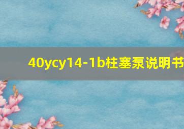 40ycy14-1b柱塞泵说明书