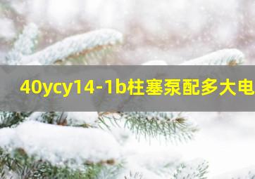 40ycy14-1b柱塞泵配多大电机