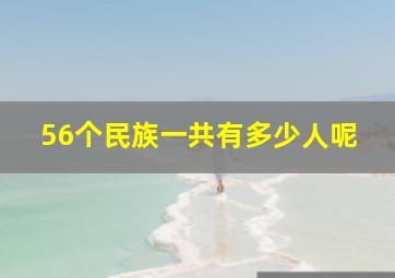 56个民族一共有多少人呢