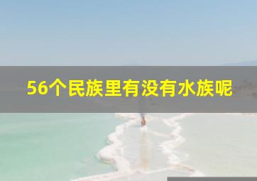 56个民族里有没有水族呢