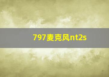 797麦克风nt2s