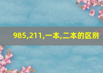 985,211,一本,二本的区别