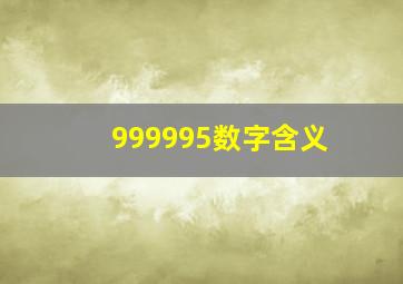 999995数字含义