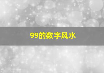 99的数字风水