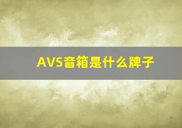 AVS音箱是什么牌子