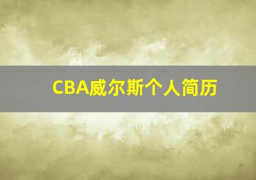 CBA威尔斯个人简历