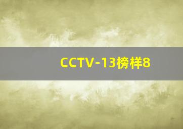 CCTV-13榜样8