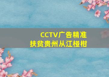 CCTV广告精准扶贫贵州从江椪柑