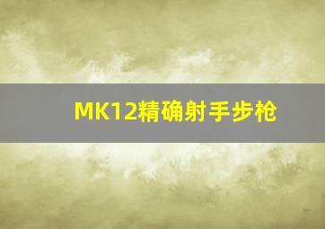 MK12精确射手步枪