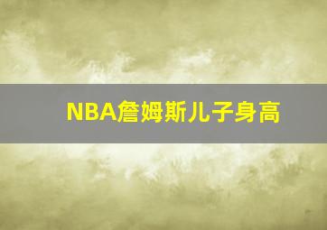 NBA詹姆斯儿子身高