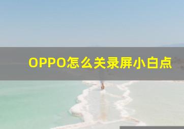 OPPO怎么关录屏小白点