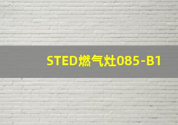 STED燃气灶085-B1