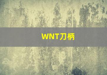 WNT刀柄