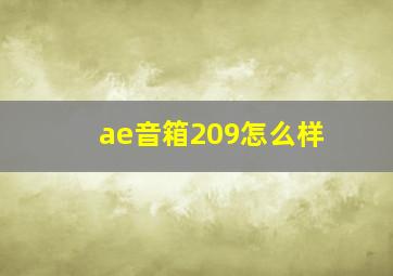 ae音箱209怎么样