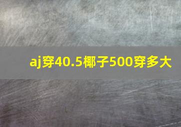 aj穿40.5椰子500穿多大