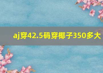 aj穿42.5码穿椰子350多大