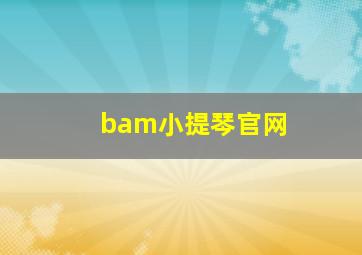 bam小提琴官网