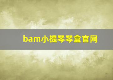 bam小提琴琴盒官网