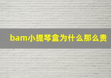 bam小提琴盒为什么那么贵